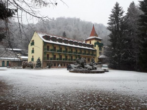 Отель Bakony Hotel  Баконюбель